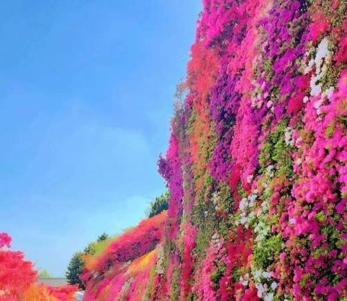 تاریخ ما کنار رود یه جای خوب یه جا که نباشه اصلا نگاهه روت