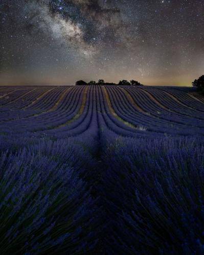 شکیلا مژده بده