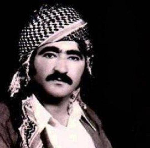 محمد جزا ئه ری به ناز