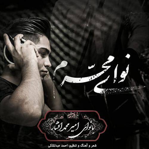 امیر محمد افشار نوای محرم
