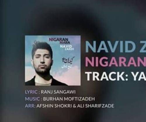 نوید زردی یاری