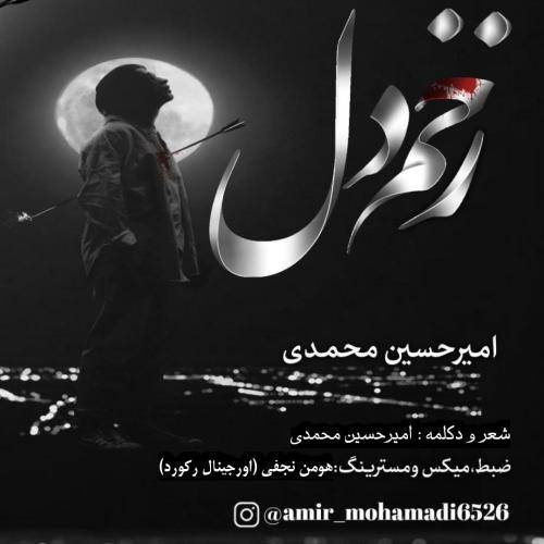 امیرحسین محمدی زخم دل