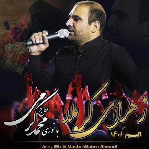 محمد کرمی زهرای کربلا 