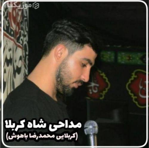 محمدرضا باهوش شاه کربلا