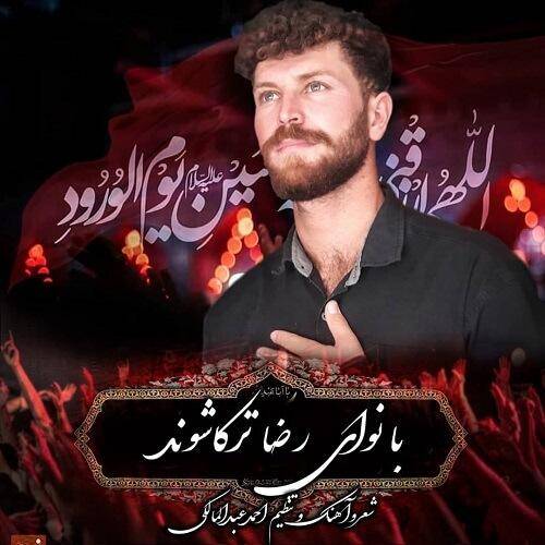 رضا ترکاشوند بابا نچو