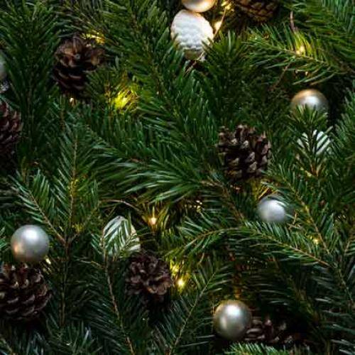 تاریخ ما دلم چه تنگه هوای گریه داره