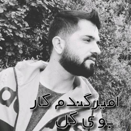 امیر گندم کار بوی گل