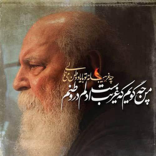 هوشنگ ابتهاج نتوانستم که بگویم دلم اینجا مانده ست