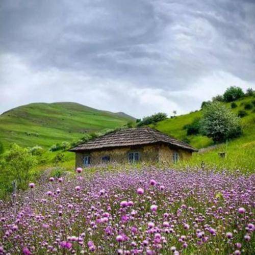 تاریخ ما تو این دنیای وارونه منم تنها که برعکسم
