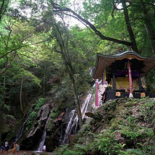حسین باغشنی عمریه با دل و جون میشینوم به انتظار