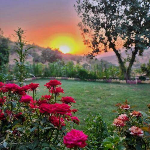 میلاد بابایی هواتو كردم و دلتنگ آغوشم بغل كردم لباستو تا آروم شم