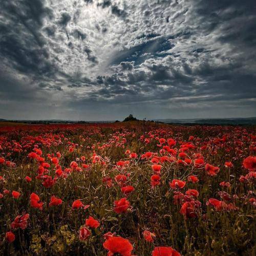 تاریخ ما نه من خدای کسی نه کسی خدامه ریمیکس