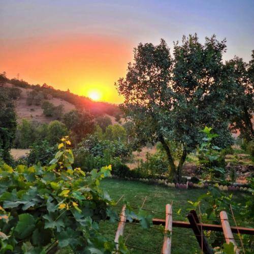 تاریخ ما اصلا نمیدونم بزنم تو رو چی صدات