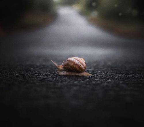 سینا ساعی نمیشه هیچی عین قبل