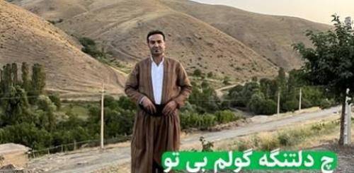 فرزاد حیدری چ دلتنگه گولم بی تو