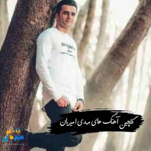 دانلود گلچین آهنگ های مهدی امیریان 1404