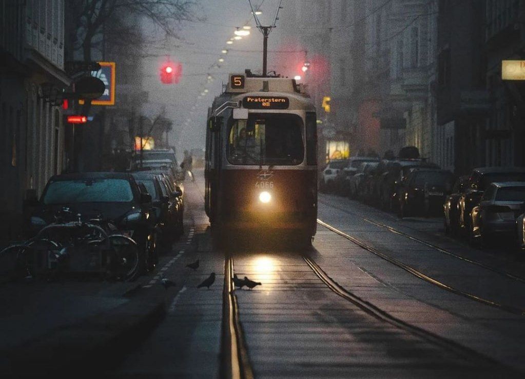 ناجی کبود