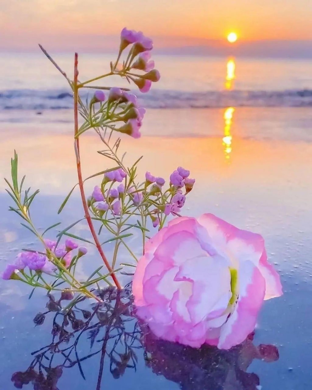 حسن بریمانی دنیای بی رحم