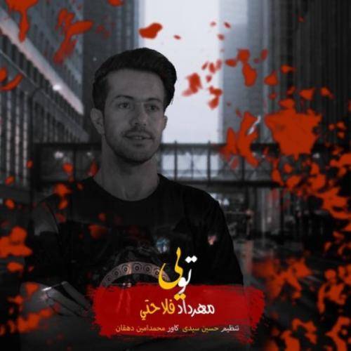 مهرداد فلاحتی تویی