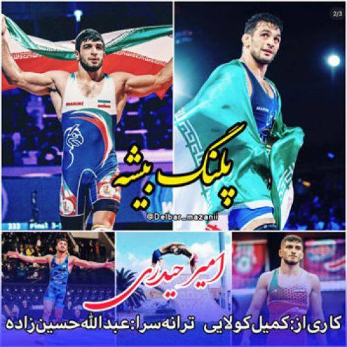 امیر حیدری پلنگ بیشه
