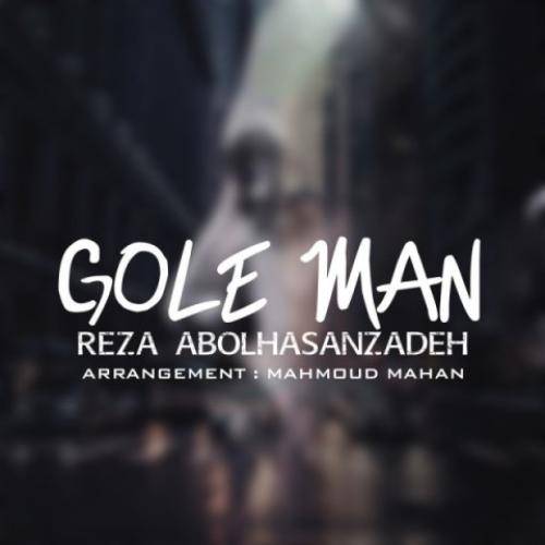 رضا ابوالحسن زاده گل من