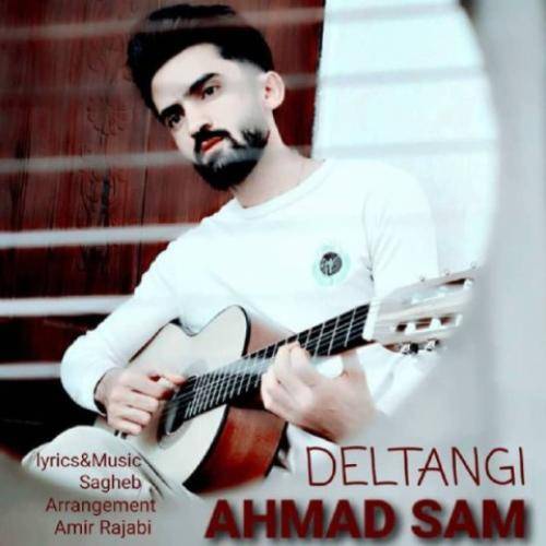 احمد سام دلتنگی