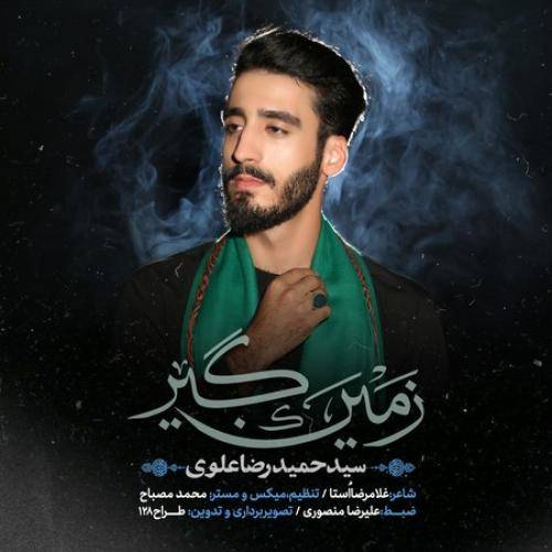 حمیدرضا علوی زمین گیر