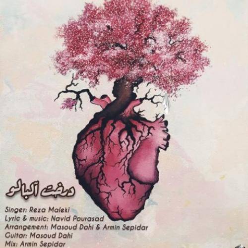 رضا ملکی درخت آلبالو