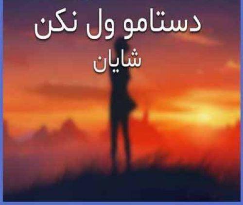 شایان یو دستامو ول نکن که اینجا پره گرگه