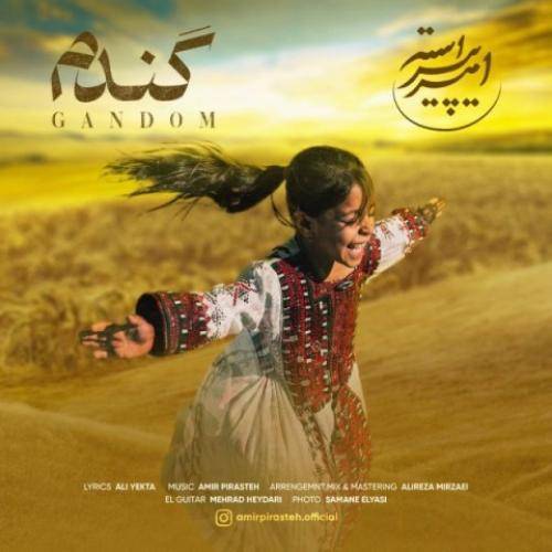 امیر پیراسته گندم