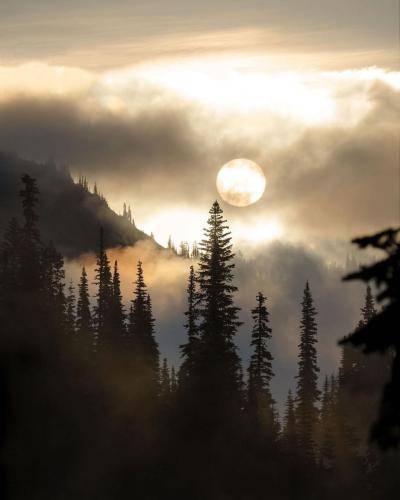 امید مالکانپور یار وفا وم نیکنه 