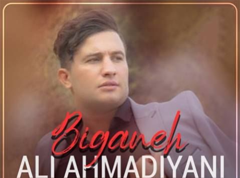 علی احمدیانی بیگانه