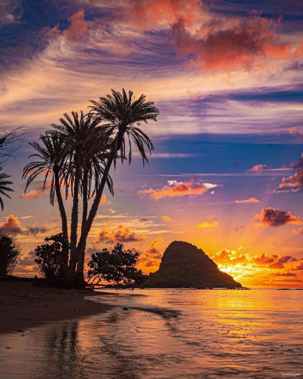 علی نواب تنها میزاری