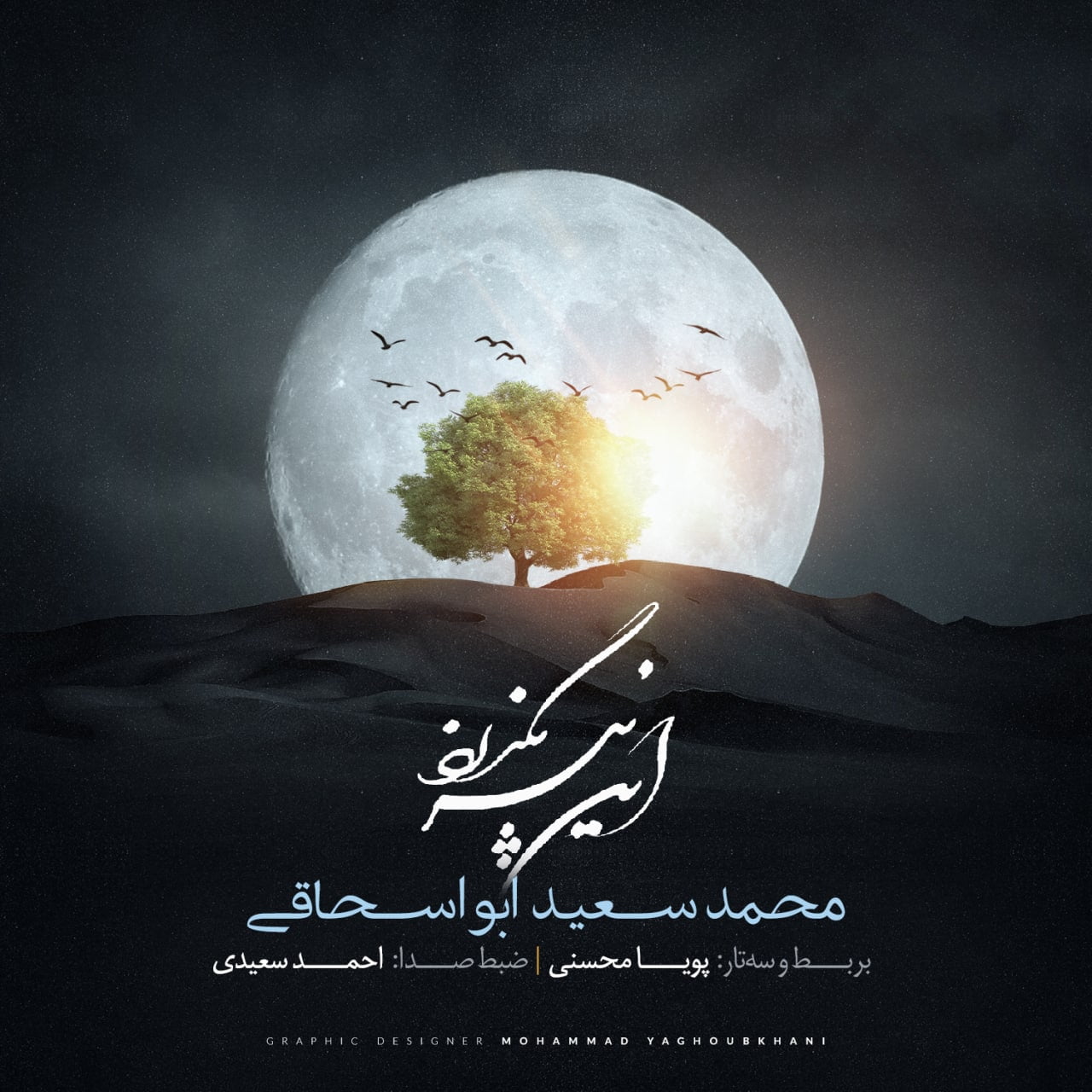 محمد سعید ابواسحاقی این نیز بگذرد