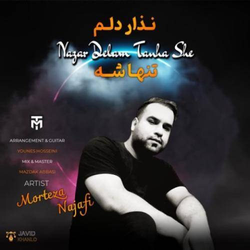 مرتضی نجفی نزار دلم تنهاشه