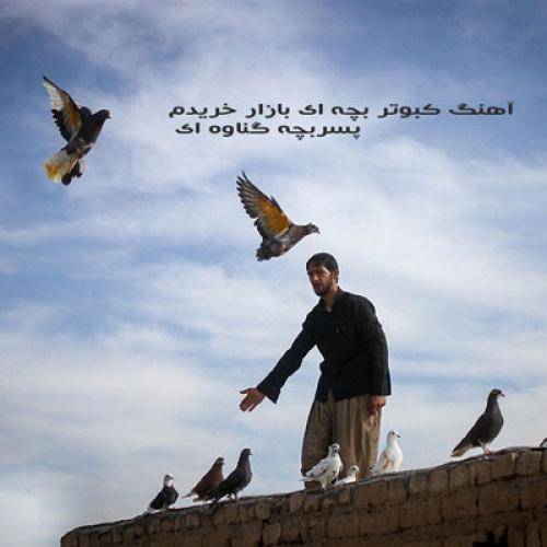پسربچه گناوه ای کبوتر بچه ای بازار خریدم
