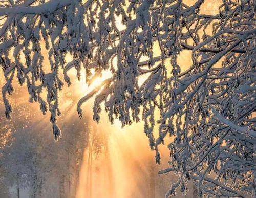 شایع من عرضشو دارم اهمیت نمیدم کسی پشتم بیان نه