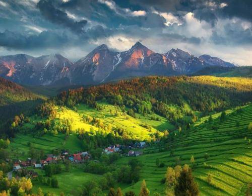دورسی و دهقان تاریک ترین
