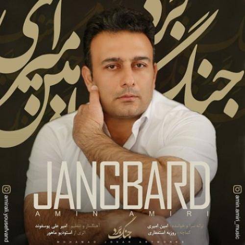 امین امیری جنگ برد