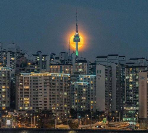 پارسالیپ تیک تاک