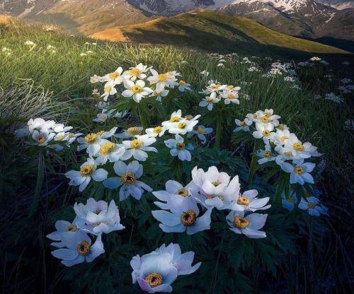 هادی رحیمی سخته دیگه نبینمت