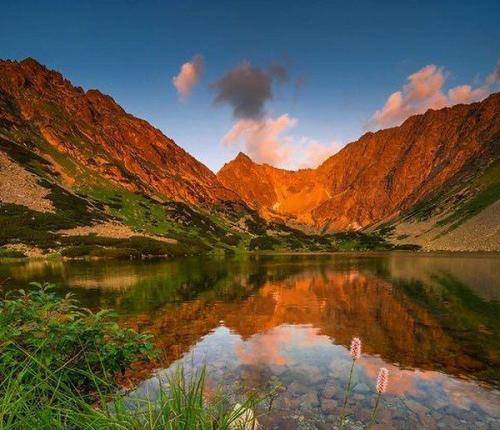 یانگ صادن و آرش سرطان چی میگن اینا