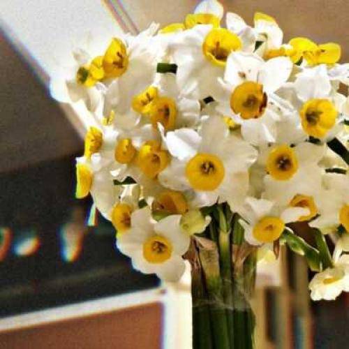 مهستی من دیگه حوصله عاشقی رو ندارم