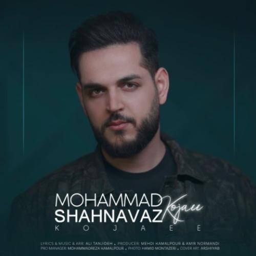محمد شهنواز کجایی