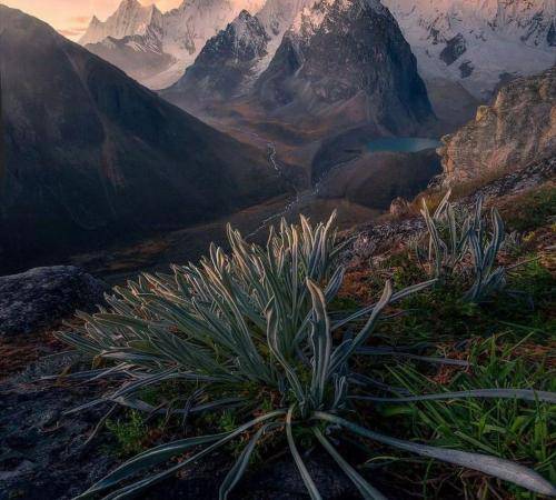 ماکان بند خوش به حال خودم
