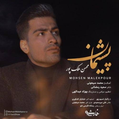 محسن ملک پور پشیمان