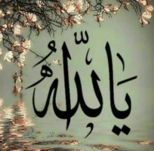 پیمان برادیگاهی قارداش غمی الله اورکلر یاندیران دی