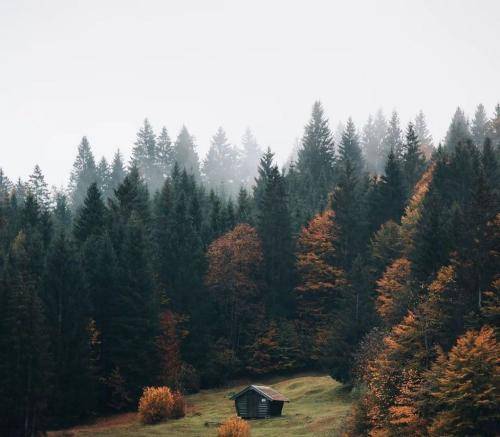 مرتضی خسروی مجنونت شدم