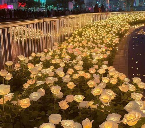 پوبون حالا که تو شدی کل دنیام میمیرم یه روزی نبینمت