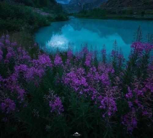 ناشناس هنو وصل نوک خودکارم به رگ گردن پی ردپات من کل شهر گشتم
